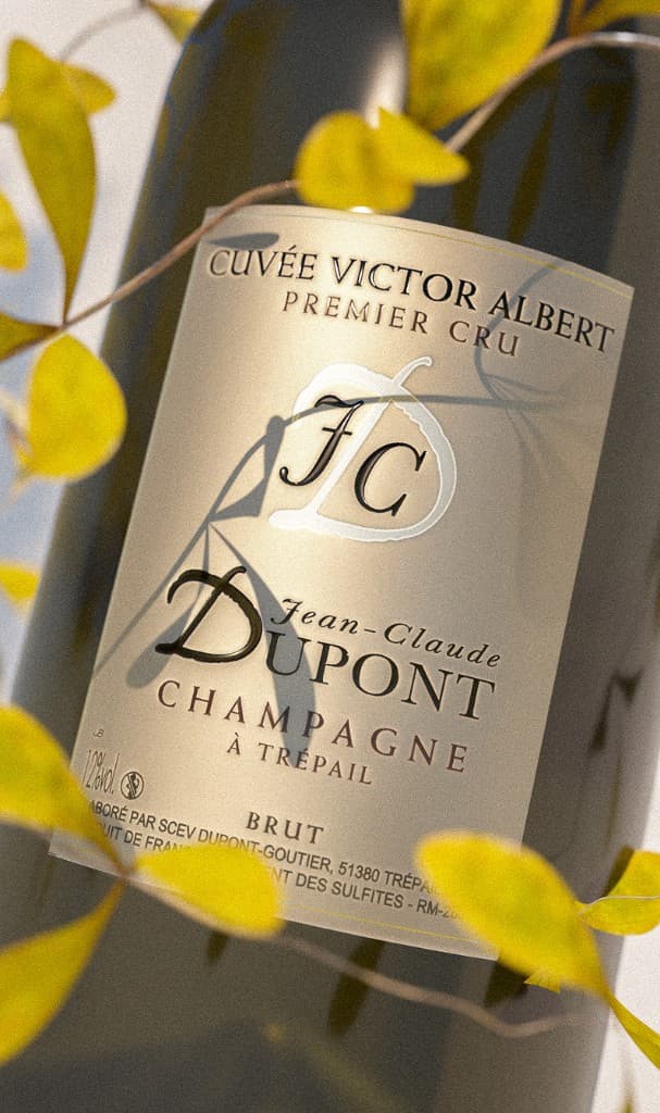 Champagne
Cuvée prestige