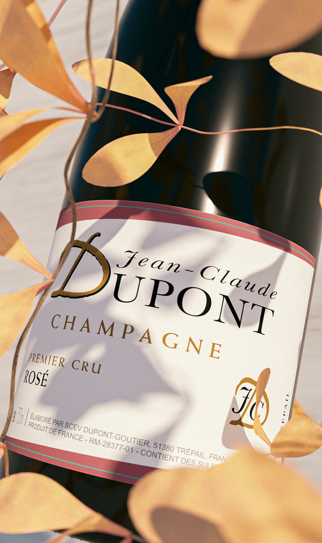 Champagne
Rosé